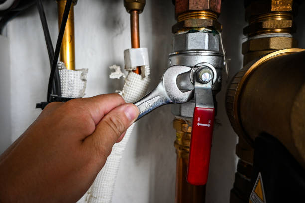 Best Clogged Drain Plumber  in Canyon Creek, WA